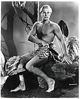 Tarzan `66 [1966]
